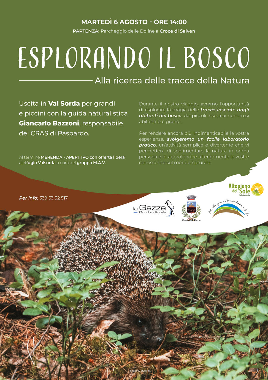 6 agosto 2024 Croce di Salven - Borno: Esplorando il bosco