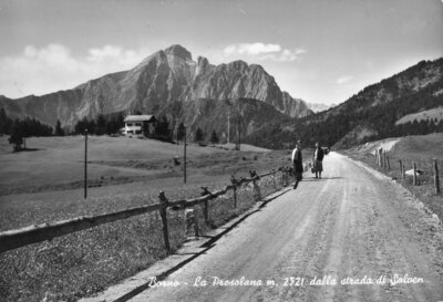 foto Borno