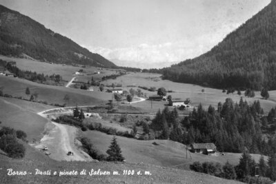foto Borno
