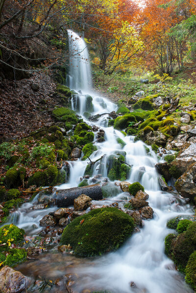 foto Borno