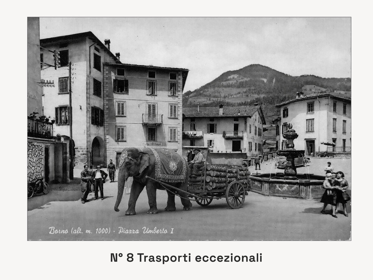 Angelo Mensi - Trasporti eccezionali