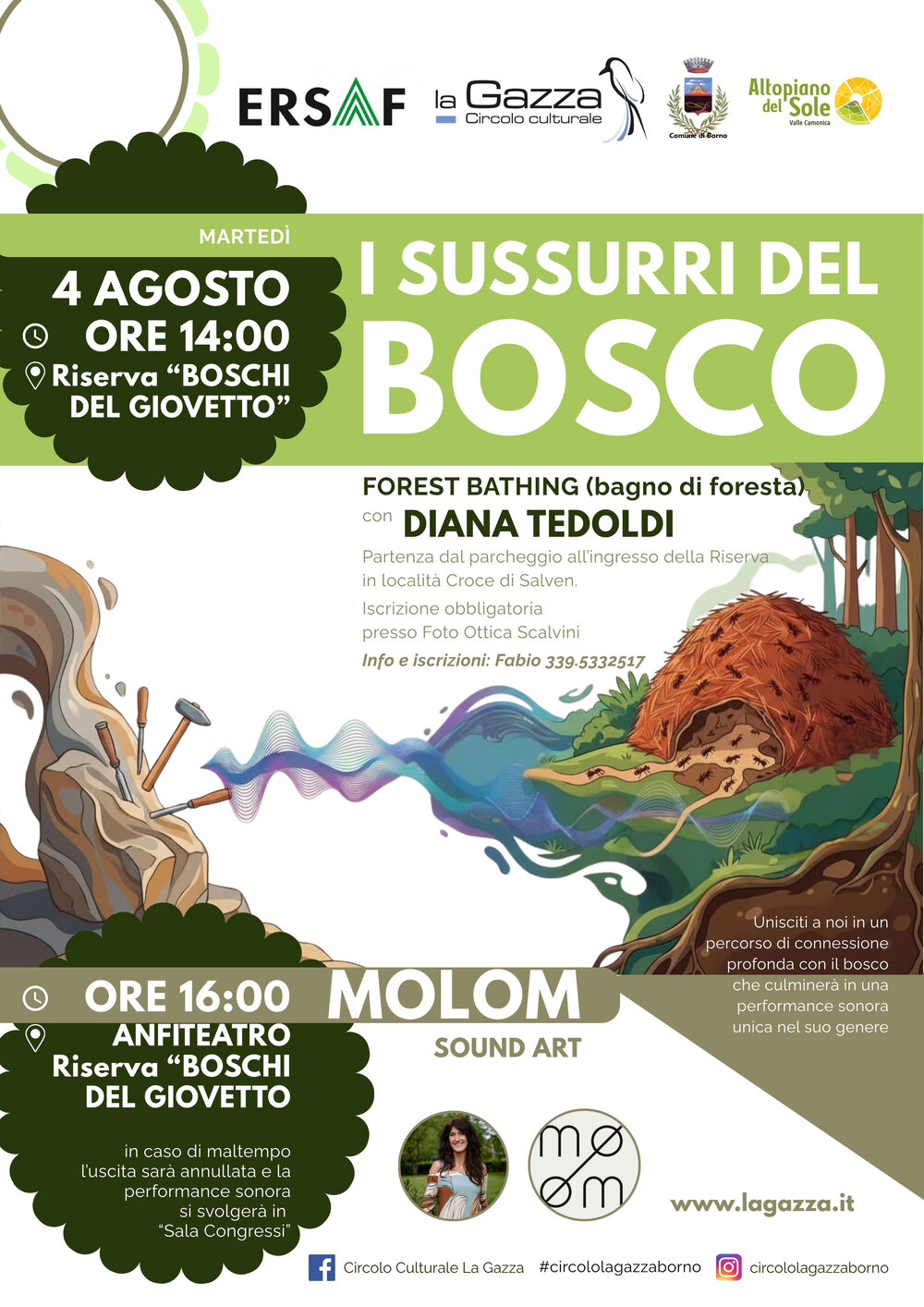 4 agosto 2026 ore 14.00 Riserva del Giovetto Borno: I sussurri del Bosco con Diana Tedoldi