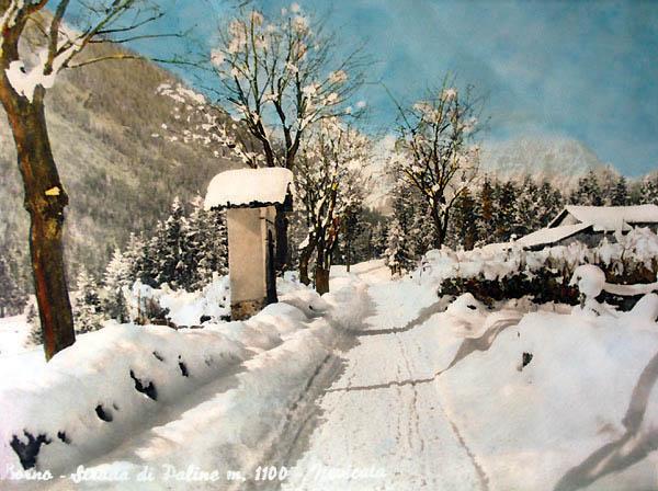 Loc. Sareze innevata (foto Simone Magnolini)