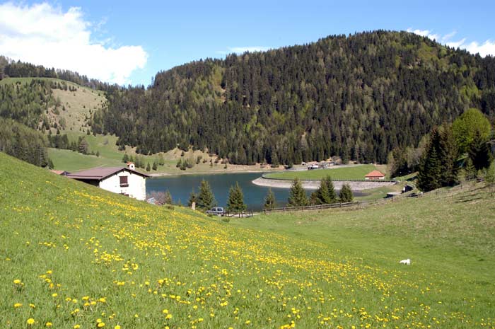 Il Lago di Lova (bacino artificiale realizzato dalla Società Olcese negli anni 1930-31) usato anche per la pesca sportiva